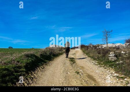 Der Mann geht durch die Felder - die französische Art des `Camino de Santiago` im Winter. Wallfahrten auf ihrer Reise durch Spanien. 2020 Stockfoto